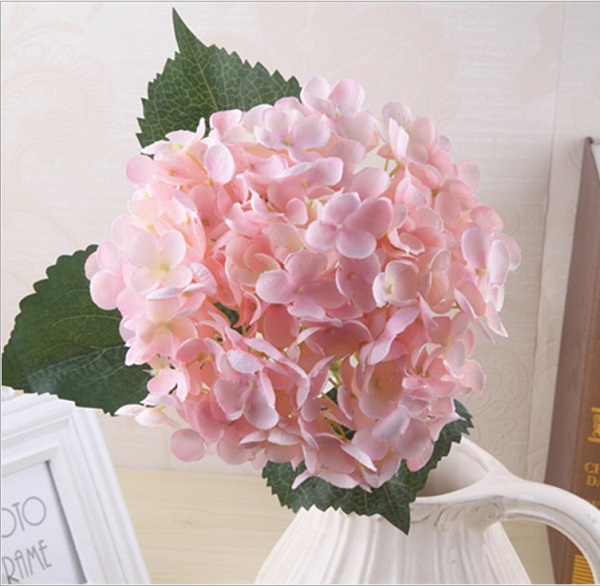 ������������� ����� NN ��������� 50 �� ������-�������