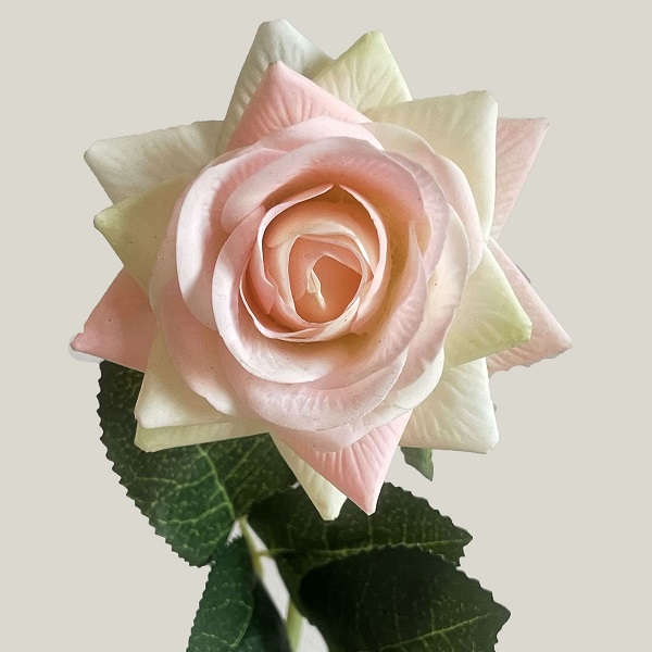 ������������� ����� NN ����� ���� 43 �� �������