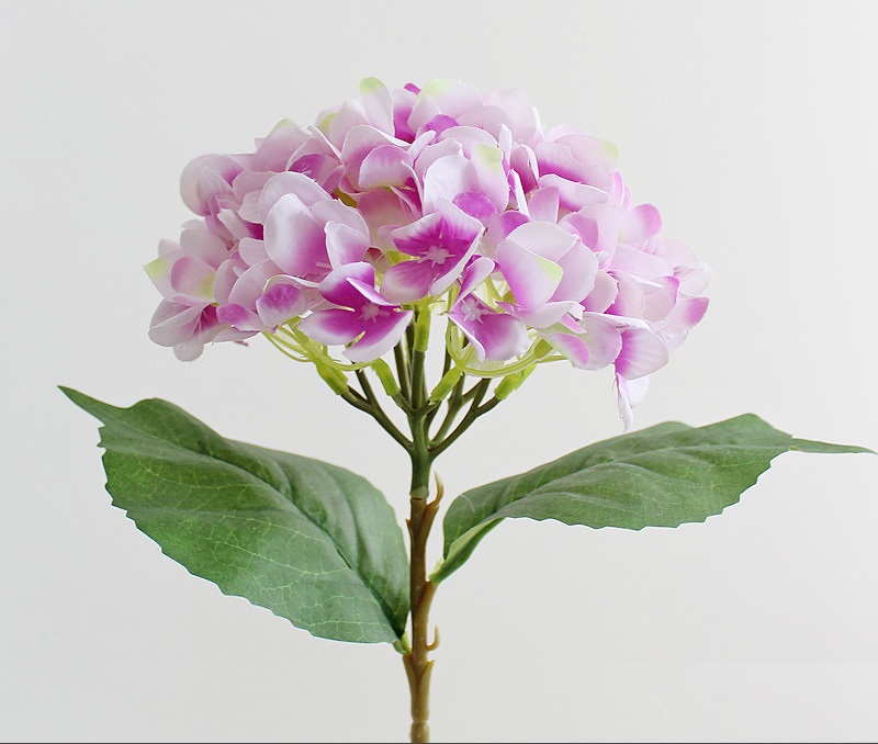 ������������� ����� NN ��������� 46 �� ���������