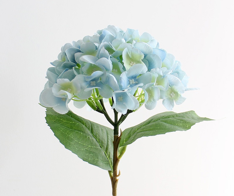 ������������� ����� NN ��������� 46 �� ������-�������