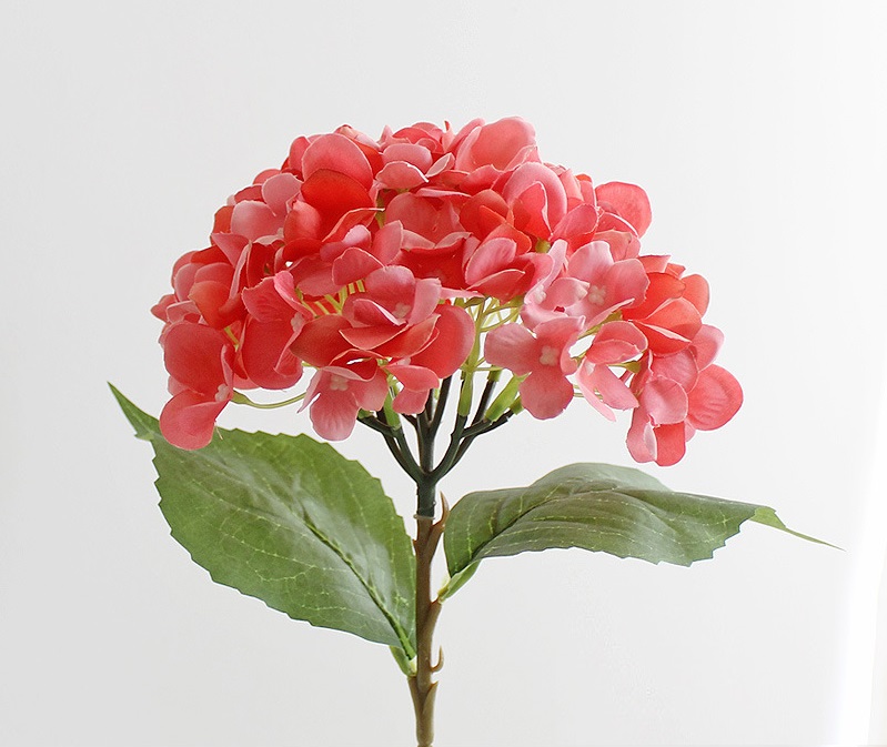 ������������� ����� NN ��������� 46 �� ������