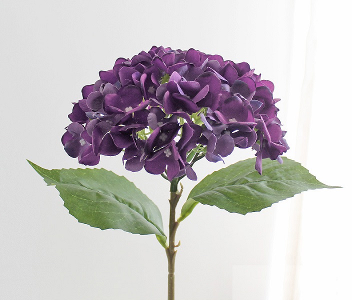 ������������� ����� NN ��������� 46 �� ����������