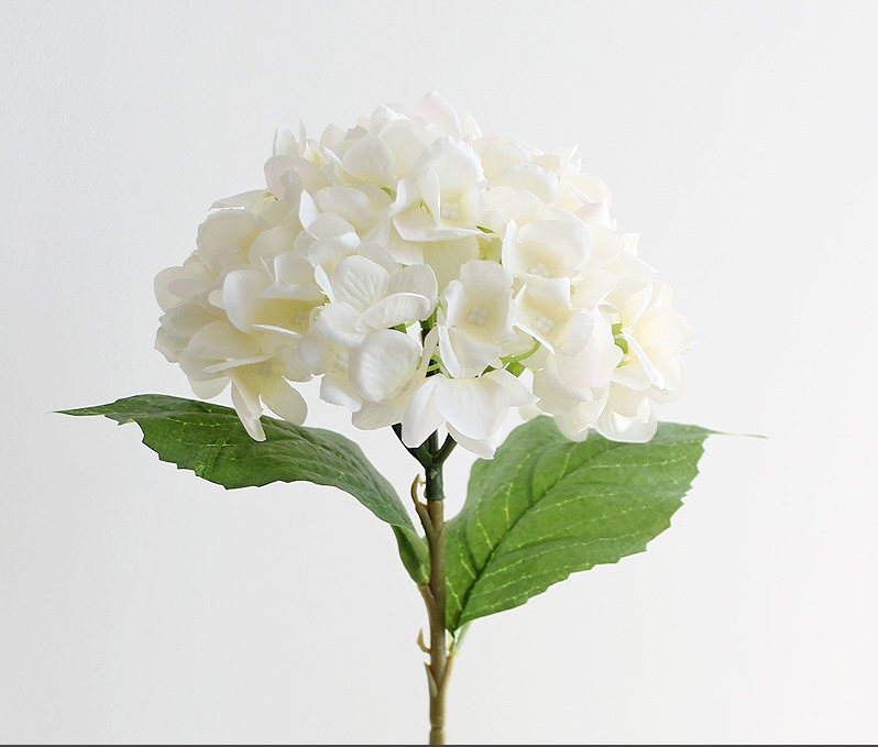 ������������� ����� NN ��������� 46 �� ��������