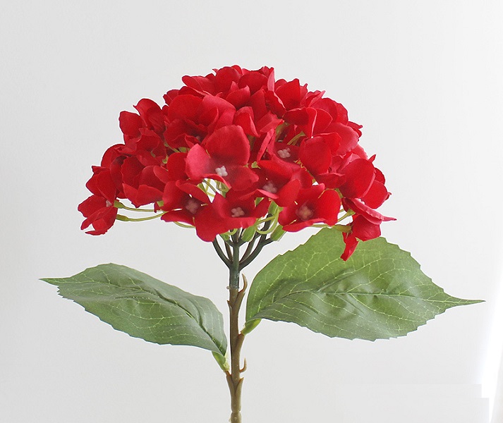 ������������� ����� NN ��������� 46 �� ����