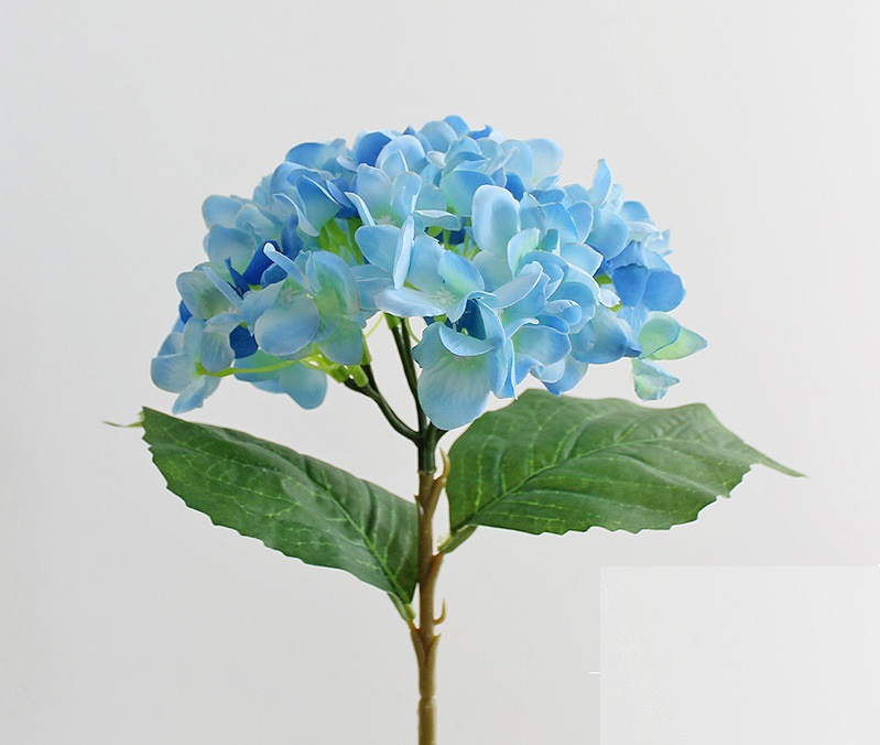 ������������� ����� NN ��������� 46 �� �������