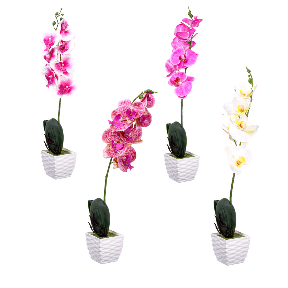 ��������� ���������� Ladecor ������� 45�� � ������������ ������ �������