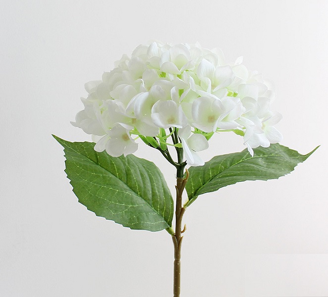 ������������� ����� NN ��������� 46 �� �����