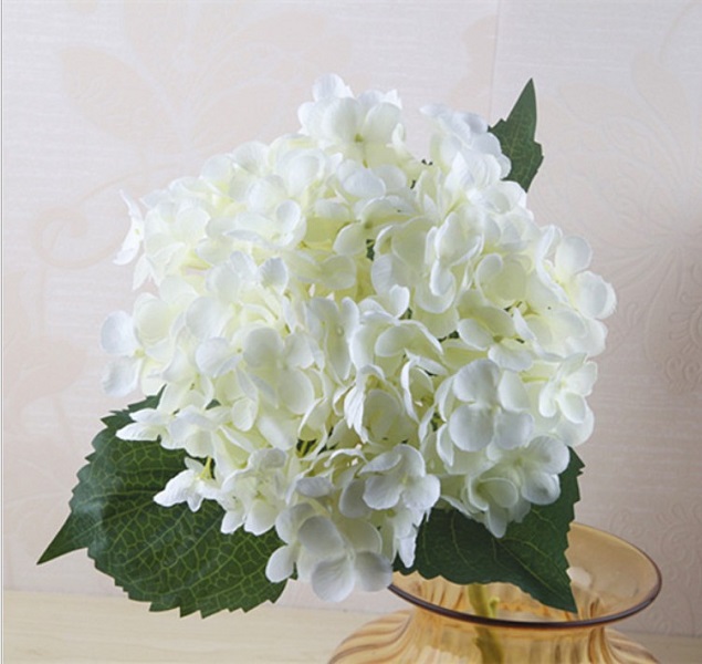������������� ����� NN ��������� 50 �� �����