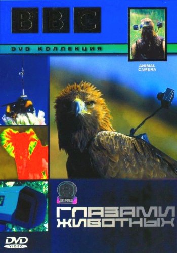 BBC: Глазами животных DVD/2004 BBC: Глазами животных DVD/2004