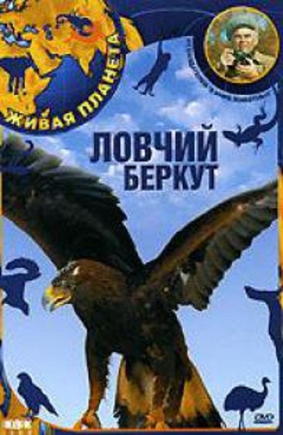 ����� �������. ������ ������ DVD/2006
