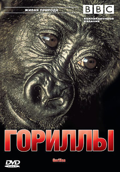 BBC: Гориллы DVD/2002 BBC: Гориллы DVD/2002