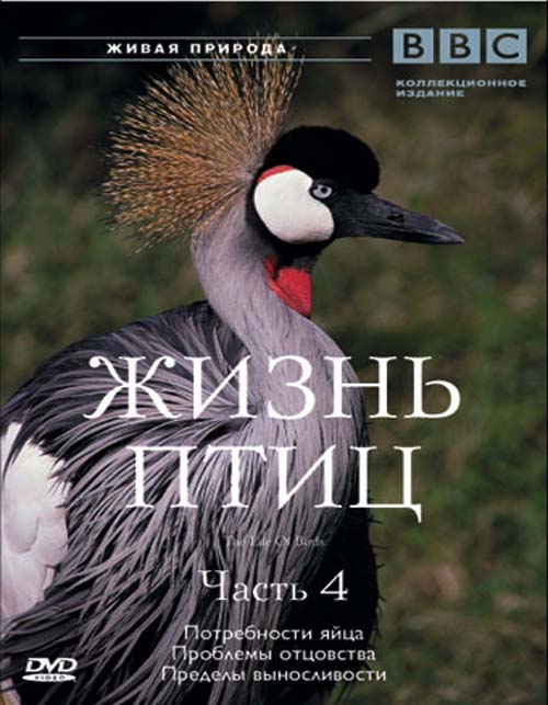 BBC: ����� ����. ����� 4 DVD/1998