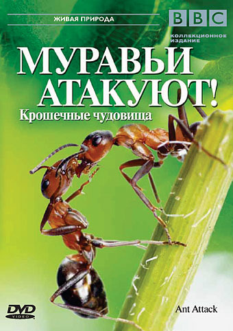 BBC: Муравьи атакуют DVD/2006 BBC: Муравьи атакуют DVD/2006