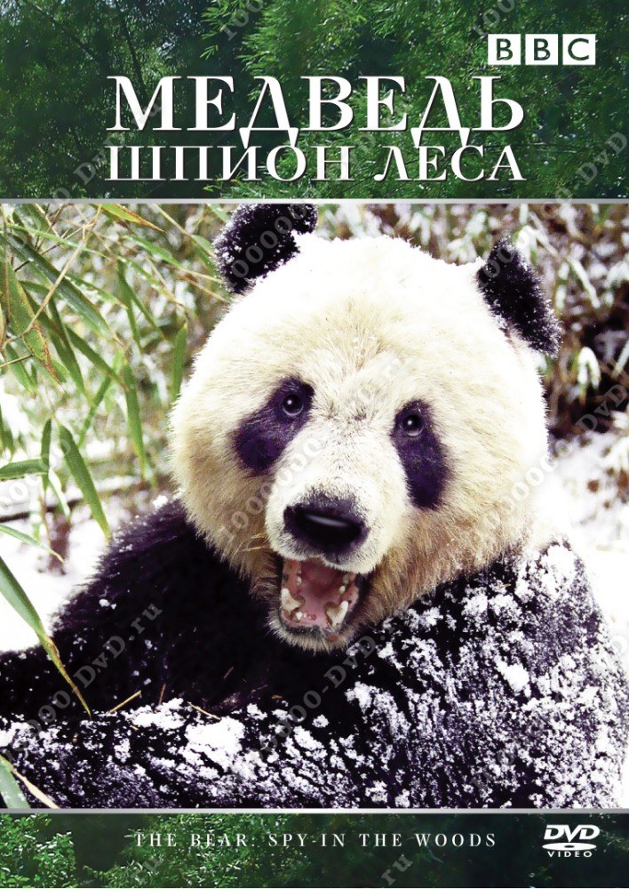 BBC: �������: ����� ���� DVD/2004