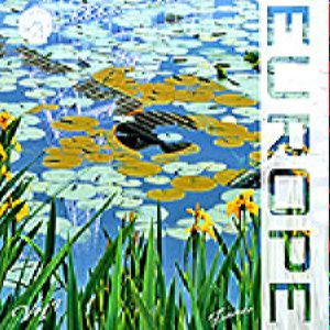 Various 'Europe vol.07 France' CD/2007/Electronic/������