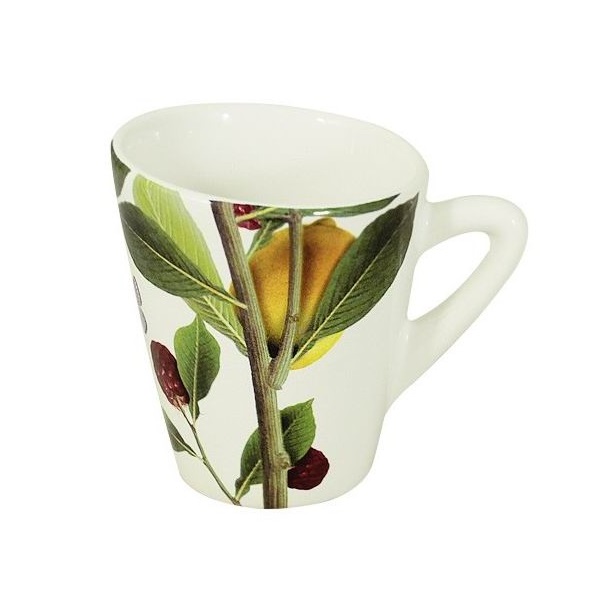 ������ Ceramiche Viva �������� ���� 250�� 