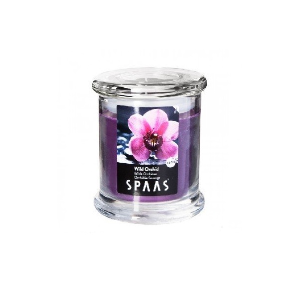 ����� ������������� Spaas ����� � ������� ������� ����� ������� 9x11�� (60�)