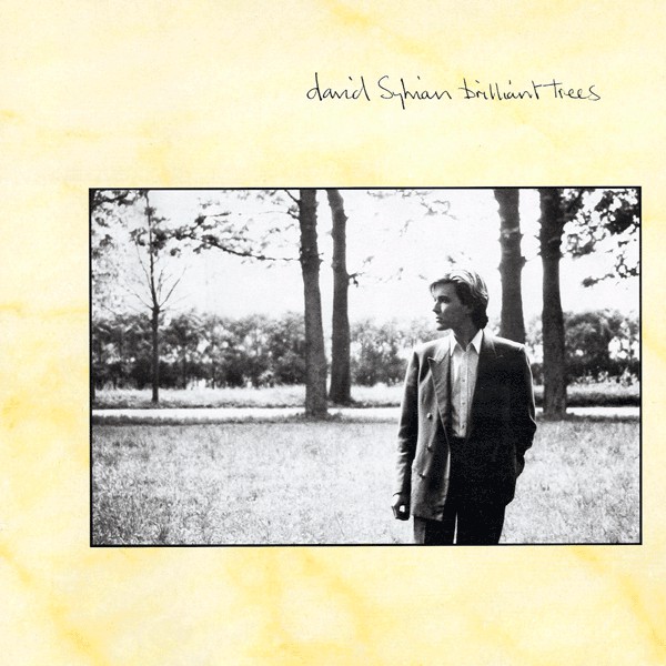 David Sylvian 'Brilliant Trees' LP/1984/Pop Rock/Germany/Nm David Sylvian 'Brilliant Trees' LP/1984/Pop Rock/Germany/Nm